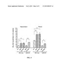 COMPOSITIONS AND METHODS FOR TREATING ESTROGEN-RELATED MEDICAL DISORDERS diagram and image