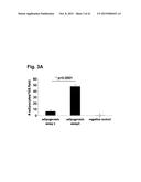 PEPTIDES THAT STIMULATE SUBCUTANEOUS ADIPOGENESIS diagram and image