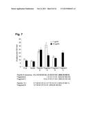 PEPTIDES THAT STIMULATE SUBCUTANEOUS ADIPOGENESIS diagram and image