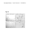 PEPTIDES THAT STIMULATE SUBCUTANEOUS ADIPOGENESIS diagram and image