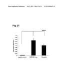 PEPTIDES THAT STIMULATE SUBCUTANEOUS ADIPOGENESIS diagram and image