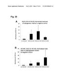 PEPTIDES THAT STIMULATE SUBCUTANEOUS ADIPOGENESIS diagram and image