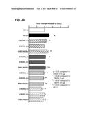 PEPTIDES THAT STIMULATE SUBCUTANEOUS ADIPOGENESIS diagram and image