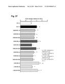 PEPTIDES THAT STIMULATE SUBCUTANEOUS ADIPOGENESIS diagram and image