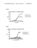 LIPOCALIN MUTEINS WITH BINDING-AFFINITY FOR GLYPICAN-3 (GPC-3) AND USE OF     LIPOCALIN MUTEINS FOR TARGET-SPECIFIC DELIVERY TO CELLS EXPRESSING GPC-3 diagram and image