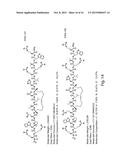 BETA-CATENIN TARGETING PEPTIDES AND USES THEREOF diagram and image