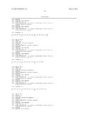 BETA-CATENIN TARGETING PEPTIDES AND USES THEREOF diagram and image