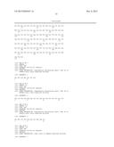 METHOD OF ISOLATING SYNAGIS(R) IN THE ABSENCE OF BENZONASE diagram and image