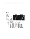 COMPOSITIONS AND METHODS FOR INHIBITING PATHOGEN INFECTION diagram and image