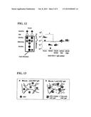 COMPOSITIONS AND METHODS FOR INHIBITING PATHOGEN INFECTION diagram and image