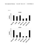 BISPECIFIC HER2 LIGANDS FOR CANCER THERAPY diagram and image