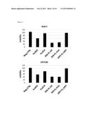 BISPECIFIC HER2 LIGANDS FOR CANCER THERAPY diagram and image