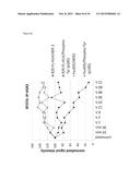 BISPECIFIC HER2 LIGANDS FOR CANCER THERAPY diagram and image