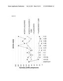 BISPECIFIC HER2 LIGANDS FOR CANCER THERAPY diagram and image