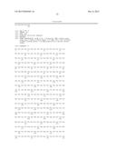 BISPECIFIC HER2 LIGANDS FOR CANCER THERAPY diagram and image