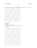 BISPECIFIC HER2 LIGANDS FOR CANCER THERAPY diagram and image