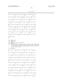 BISPECIFIC HER2 LIGANDS FOR CANCER THERAPY diagram and image