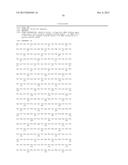 BISPECIFIC HER2 LIGANDS FOR CANCER THERAPY diagram and image