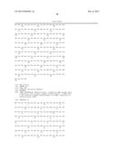 BISPECIFIC HER2 LIGANDS FOR CANCER THERAPY diagram and image