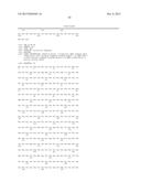 BISPECIFIC HER2 LIGANDS FOR CANCER THERAPY diagram and image