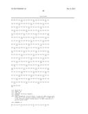 BISPECIFIC HER2 LIGANDS FOR CANCER THERAPY diagram and image