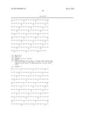 BISPECIFIC HER2 LIGANDS FOR CANCER THERAPY diagram and image