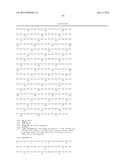 BISPECIFIC HER2 LIGANDS FOR CANCER THERAPY diagram and image