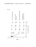 BISPECIFIC HER2 LIGANDS FOR CANCER THERAPY diagram and image