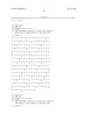 BISPECIFIC HER2 LIGANDS FOR CANCER THERAPY diagram and image