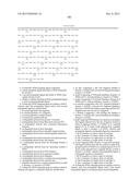 BISPECIFIC HER2 LIGANDS FOR CANCER THERAPY diagram and image