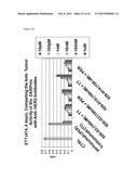 BISPECIFIC HER2 LIGANDS FOR CANCER THERAPY diagram and image