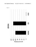 BISPECIFIC HER2 LIGANDS FOR CANCER THERAPY diagram and image