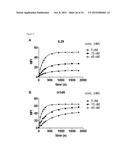 BISPECIFIC HER2 LIGANDS FOR CANCER THERAPY diagram and image