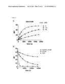 BISPECIFIC HER2 LIGANDS FOR CANCER THERAPY diagram and image