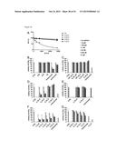 BISPECIFIC HER2 LIGANDS FOR CANCER THERAPY diagram and image