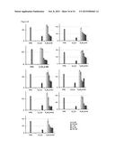 BISPECIFIC HER2 LIGANDS FOR CANCER THERAPY diagram and image