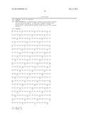 BISPECIFIC HER2 LIGANDS FOR CANCER THERAPY diagram and image