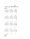 BISPECIFIC HER2 LIGANDS FOR CANCER THERAPY diagram and image