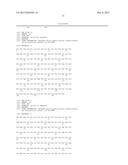 BISPECIFIC HER2 LIGANDS FOR CANCER THERAPY diagram and image