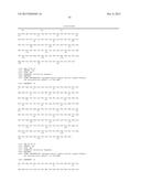 BISPECIFIC HER2 LIGANDS FOR CANCER THERAPY diagram and image