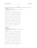 BISPECIFIC HER2 LIGANDS FOR CANCER THERAPY diagram and image