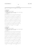 BISPECIFIC HER2 LIGANDS FOR CANCER THERAPY diagram and image