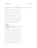 BISPECIFIC HER2 LIGANDS FOR CANCER THERAPY diagram and image