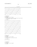 BISPECIFIC HER2 LIGANDS FOR CANCER THERAPY diagram and image