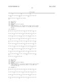 BISPECIFIC HER2 LIGANDS FOR CANCER THERAPY diagram and image