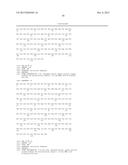 BISPECIFIC HER2 LIGANDS FOR CANCER THERAPY diagram and image