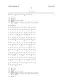 BISPECIFIC HER2 LIGANDS FOR CANCER THERAPY diagram and image