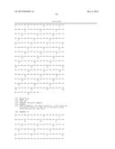 BISPECIFIC HER2 LIGANDS FOR CANCER THERAPY diagram and image