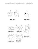 HYDROPHOBIC AND HYDROPHILIC INTERPENETRATING POLYMER NETWORKS DERIVED FROM     HYDROPHOBIC POLYMERS AND METHODS OF PREPARING THE SAME diagram and image