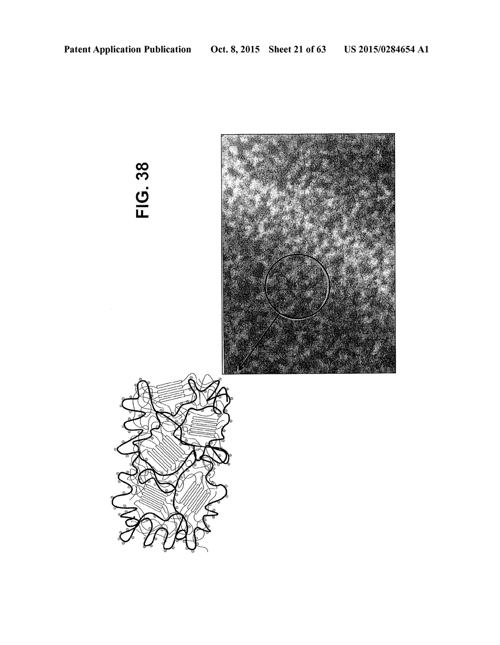 HYDROPHOBIC AND HYDROPHILIC INTERPENETRATING POLYMER NETWORKS DERIVED FROM     HYDROPHOBIC POLYMERS AND METHODS OF PREPARING THE SAME - diagram, schematic, and image 22